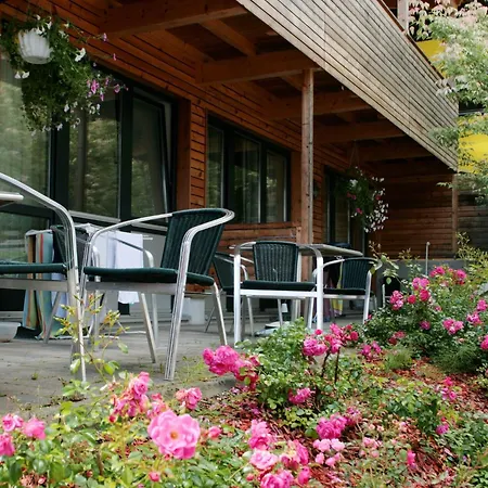 Apartment Wildbachhof 16 By Interhome Zell am See