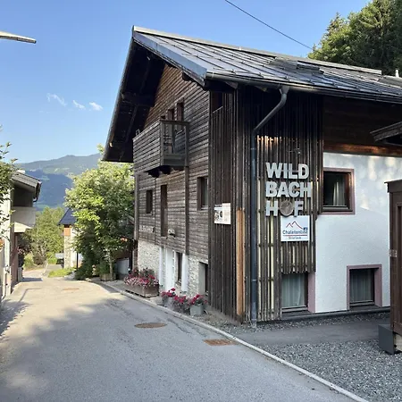 Apartment Wildbachhof 16 By Interhome Zell am See